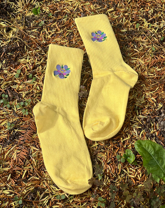 Meadows And Sun Socks (pack of two)